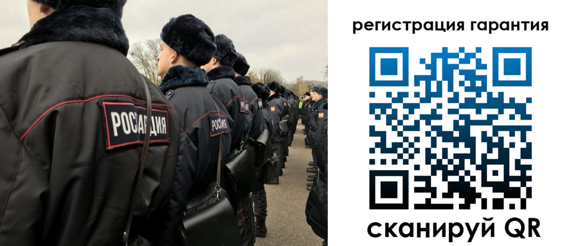 прописка поиск в Александровске