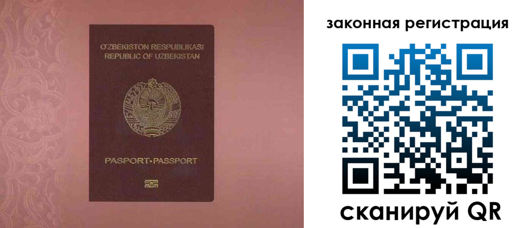 прописка регистрация в Александровске